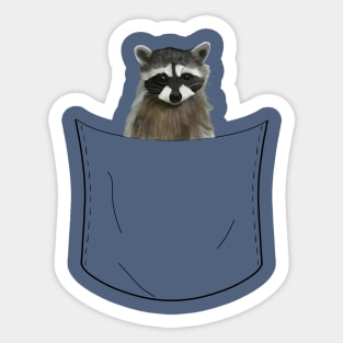 Peeking Pocket Pet - Raccoon Sticker